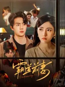 霸道前妻 海报
