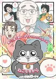 《转生成猫的大叔》：笑泪交织，中年大叔的猫生奇遇