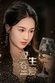 双生夺爱 海报