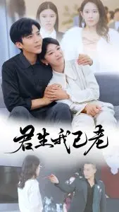 时光中的永恒爱情：《君生我已老》浪漫解析