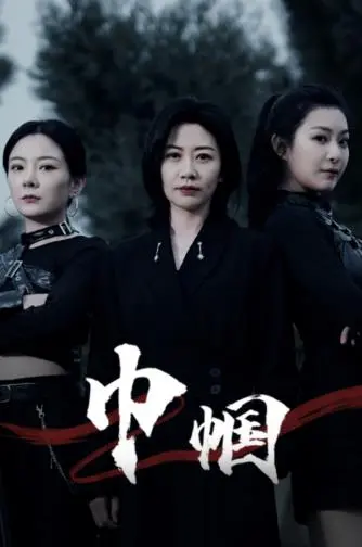 《巾帼》影评：一部被低估的女性史诗，看乱世佳人如何谱写忠义传奇！