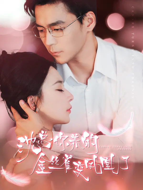 《沈总你养的金丝雀变凤凰了》：甜宠逆袭，看小娇妻如何玩转豪门！