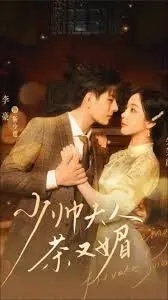 《少帅夫人茶又媚》：民国宅斗的茶香陷阱，少帅与夫人的爱恨情仇！