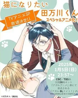 探索《想变成猫的田万川君》：一个奇幻梦想与甜蜜爱情的变形之旅