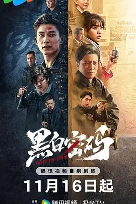 《黑白密码》：国产谍战剧的“零容忍”？这场惊心动魄的浪漫邂逅，看我给你扒皮！